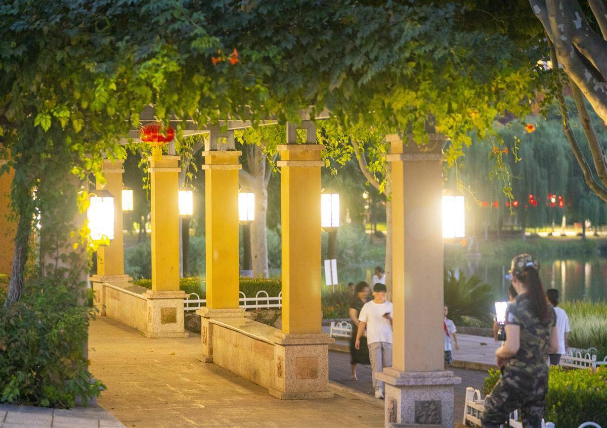 金鲨鱼银鲨鱼